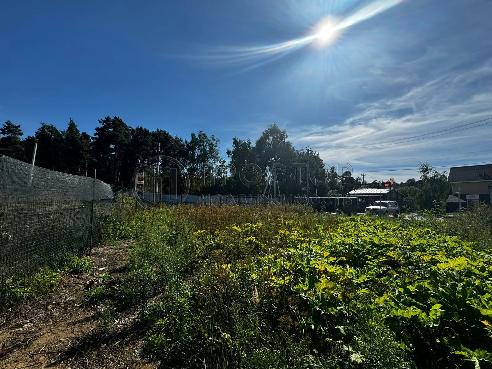 Участок, 100 сот. - фото 15