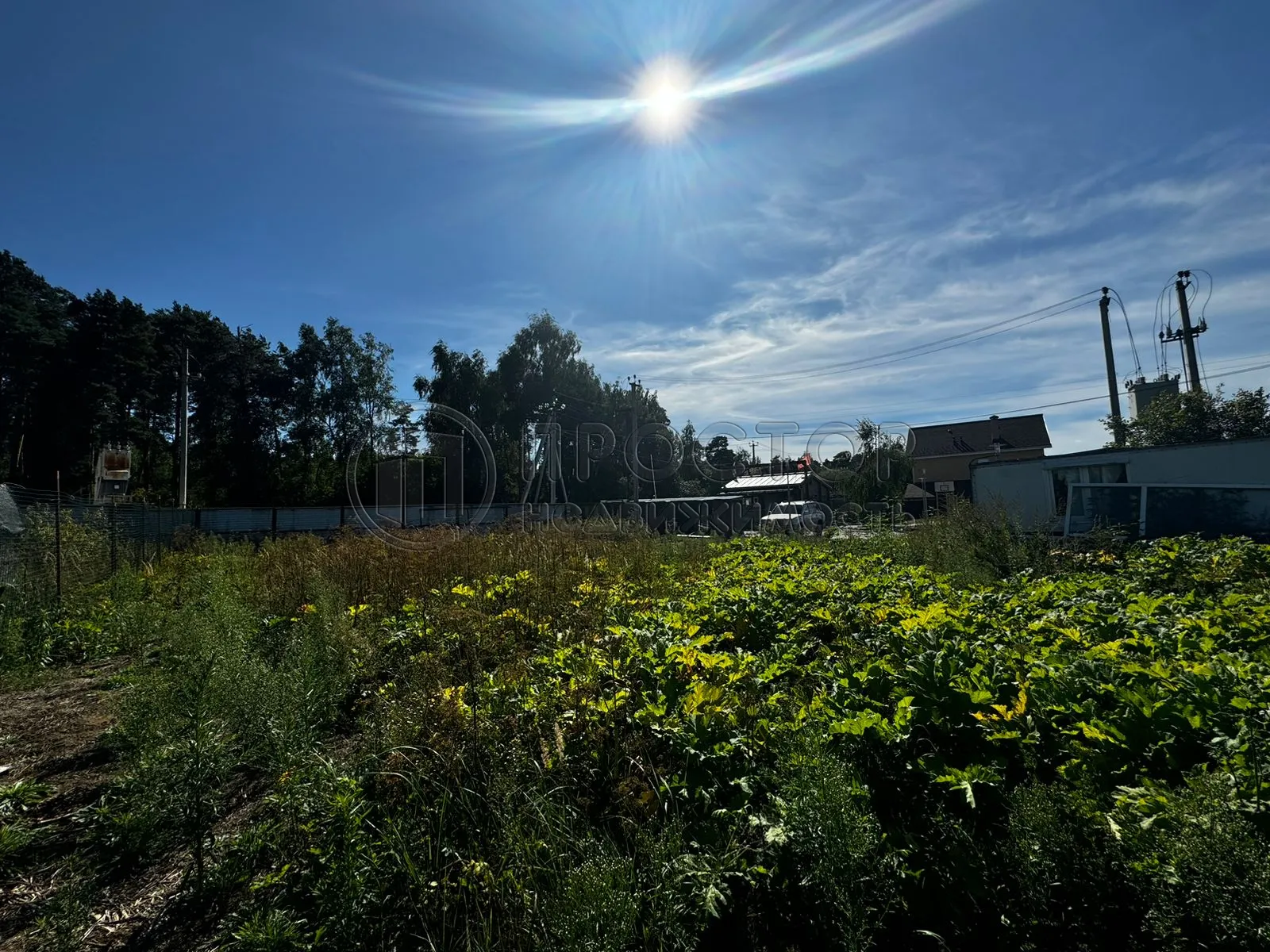 Участок, 100 сот. - фото 18