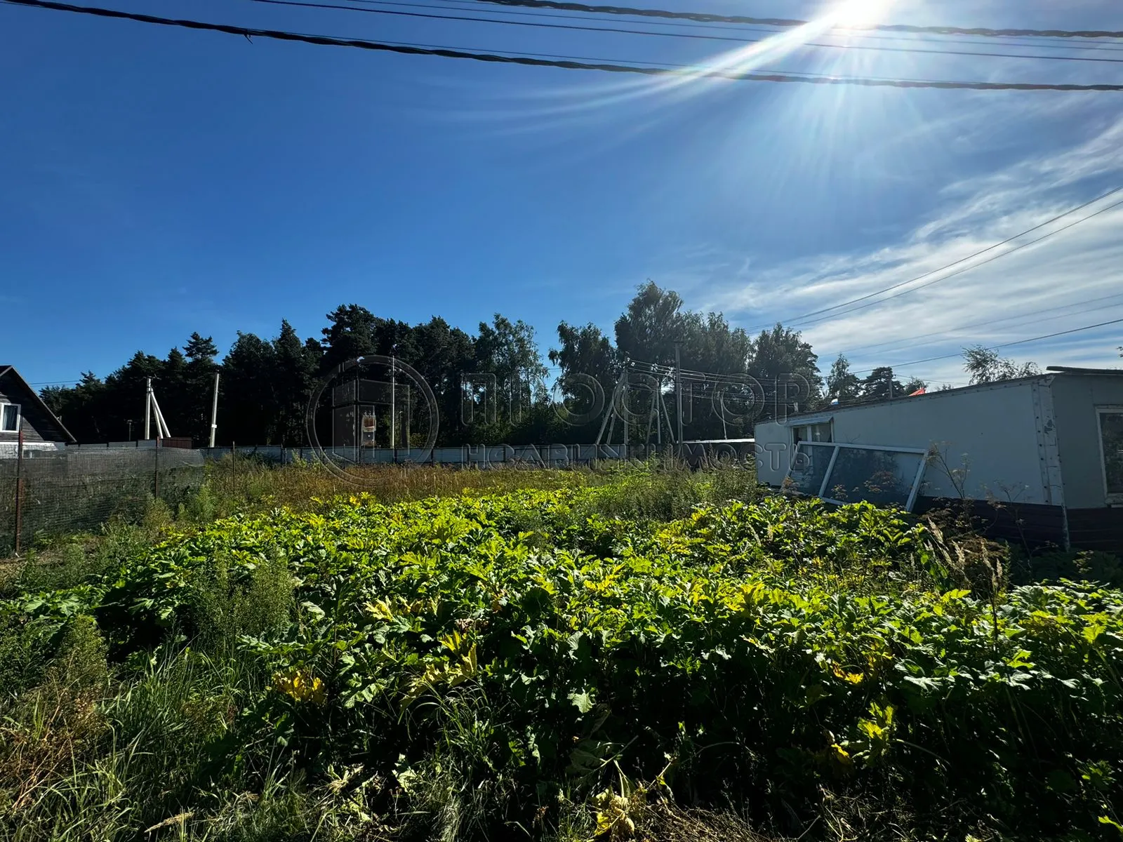 Участок, 100 сот. - фото 23