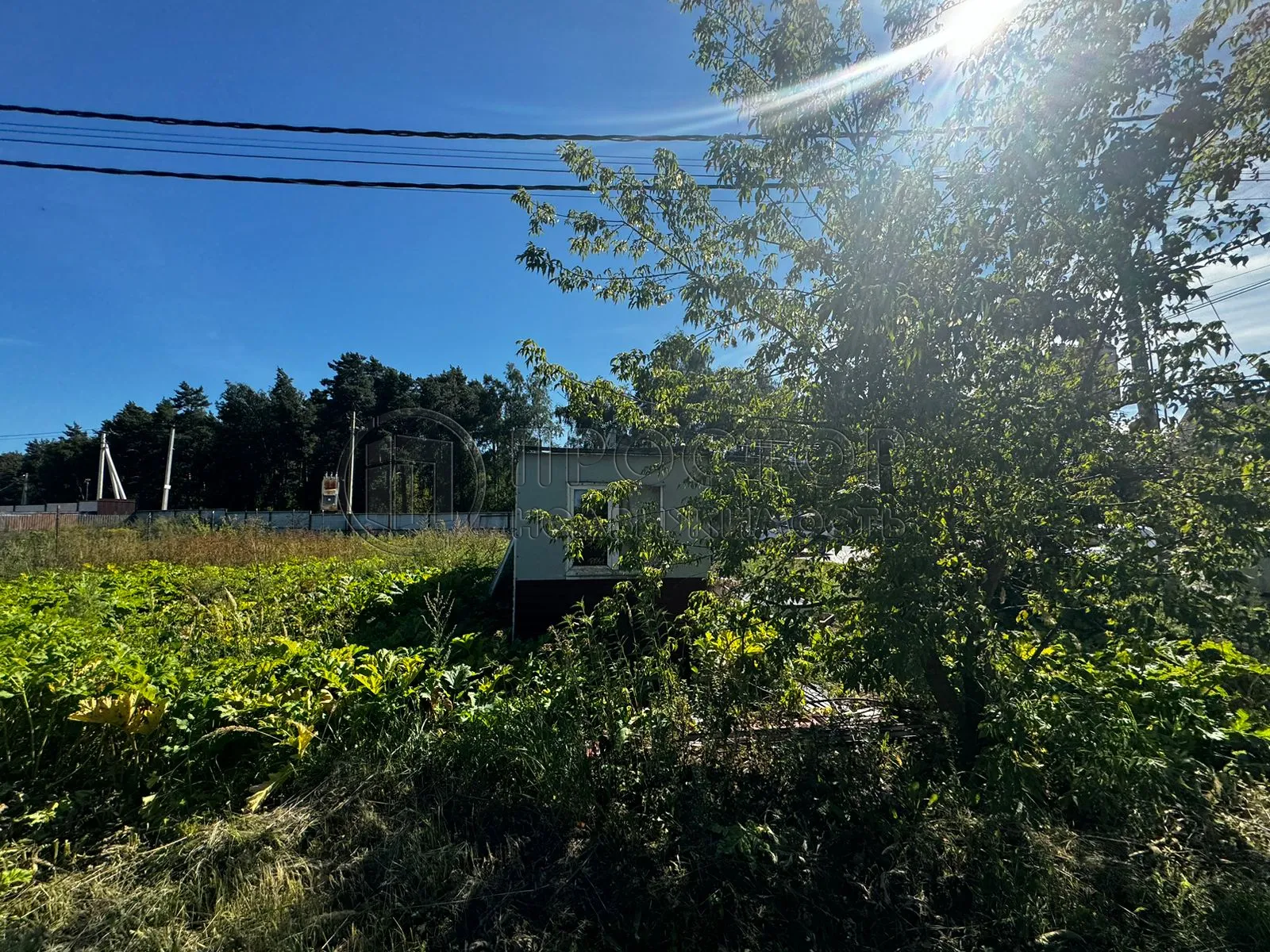 Участок, 100 сот. - фото 24