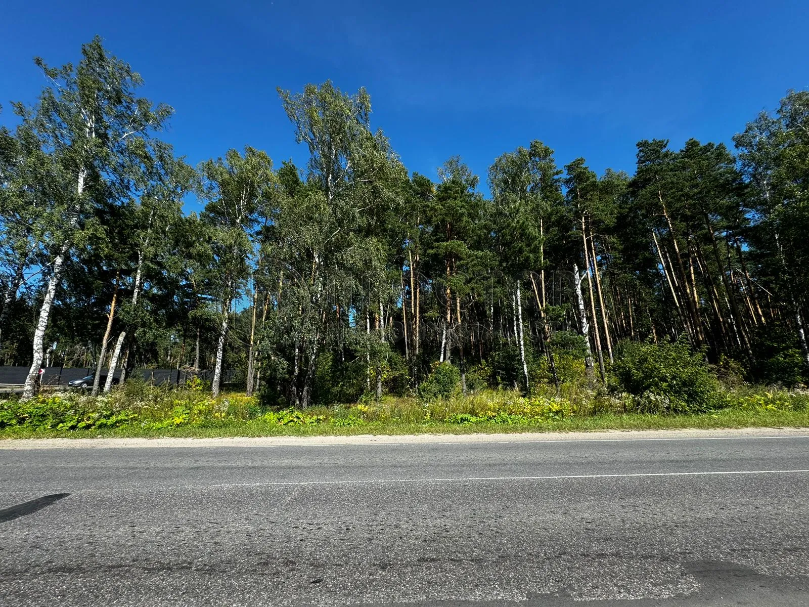 Участок, 100 сот. - фото 26