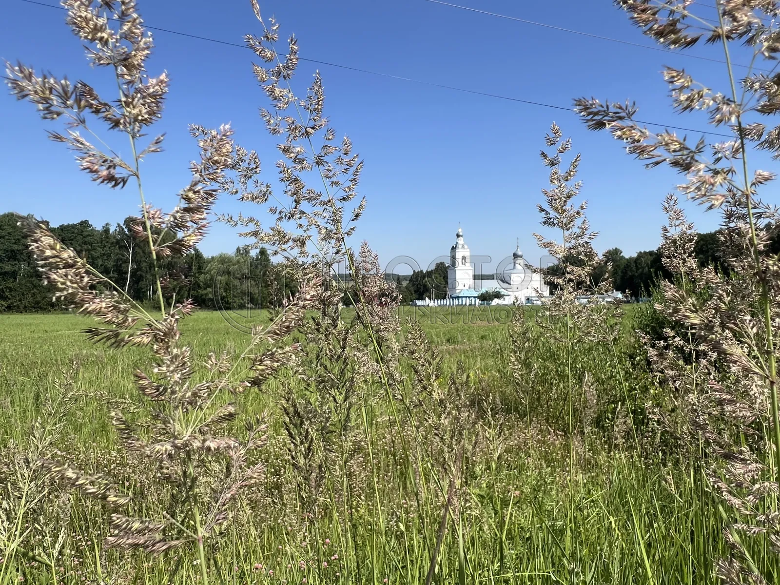 Участок, 20 сот. - фото 41