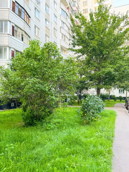 1-комнатная квартира, 36.8 м² - фото 23