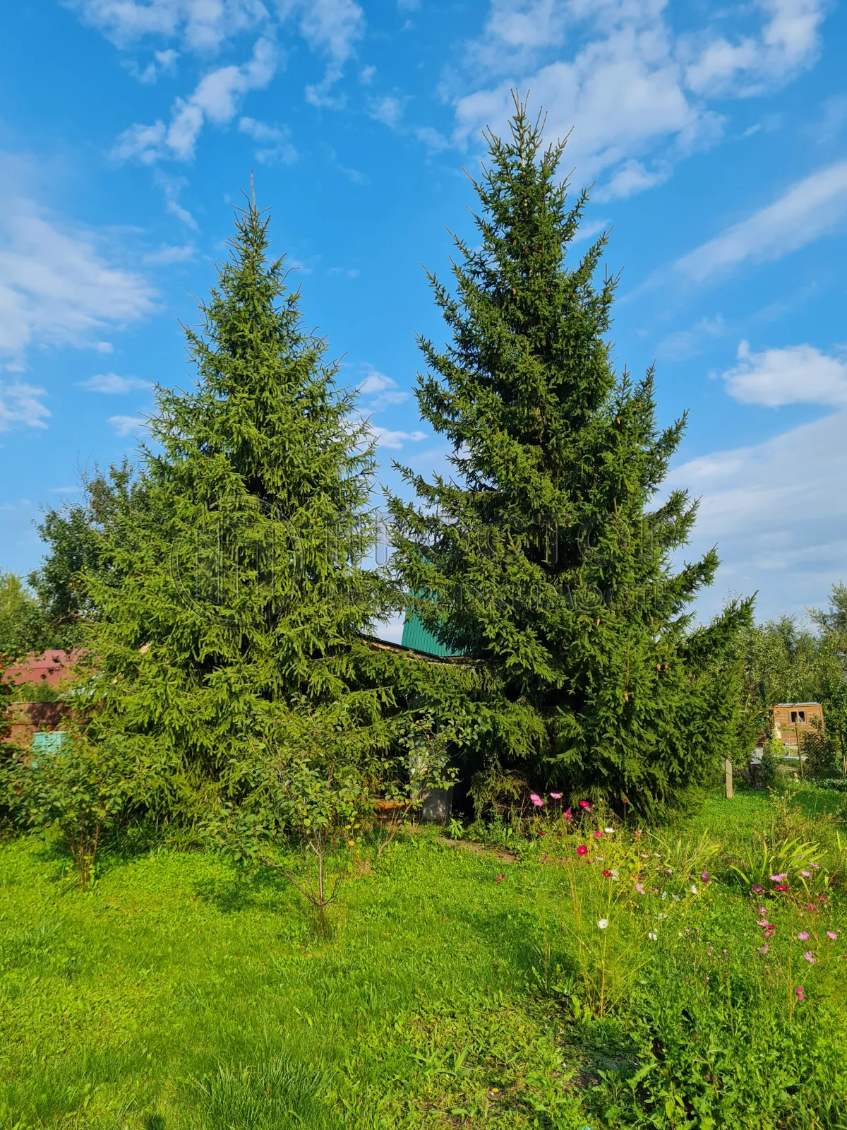 Дом, 168 м² - фото 43