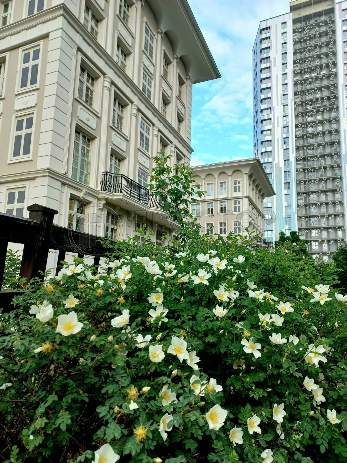 1-комнатная квартира, 34.4 м² - фото 16