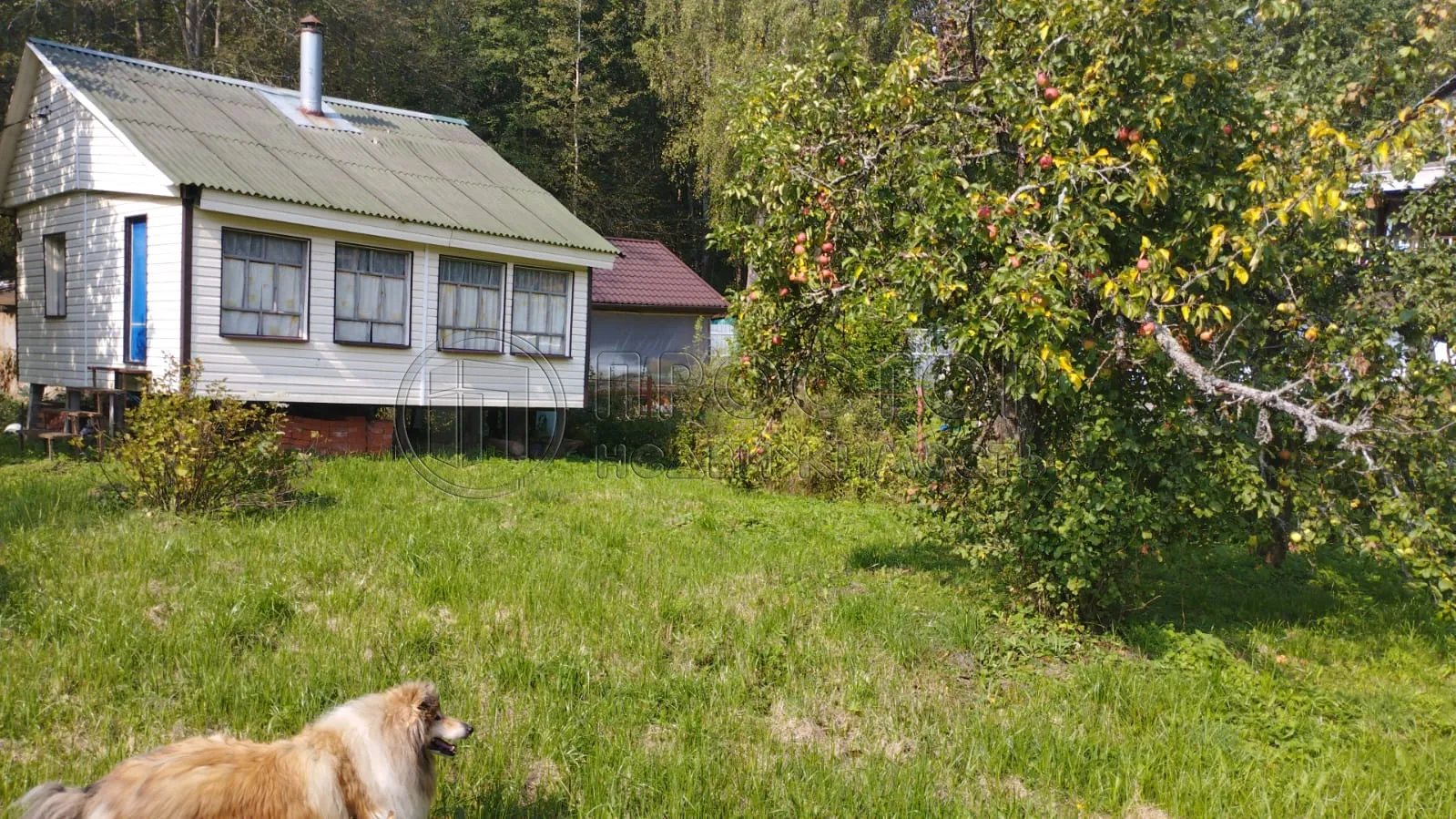 Дом, 27 м² - фото 10