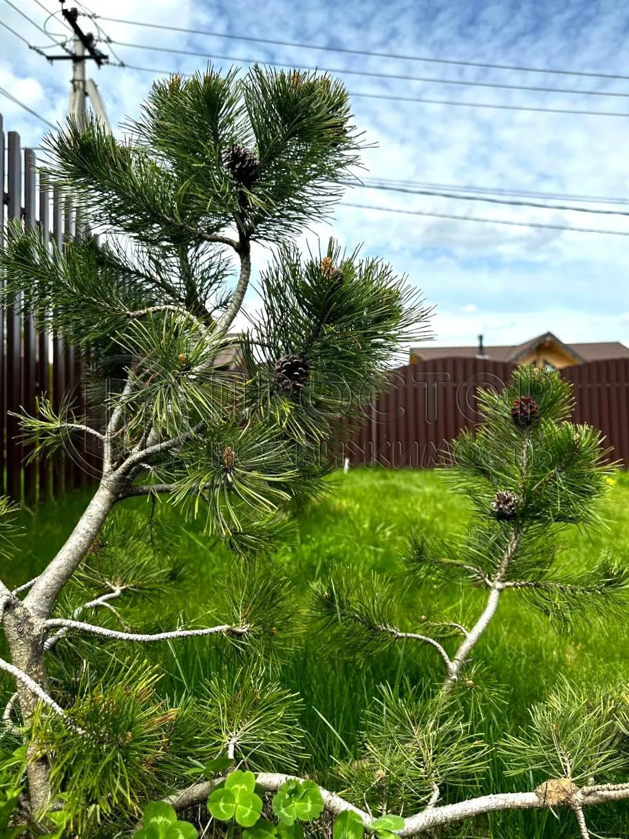 Коммерческая недвижимость (бизнес), 47 м² - фото 6