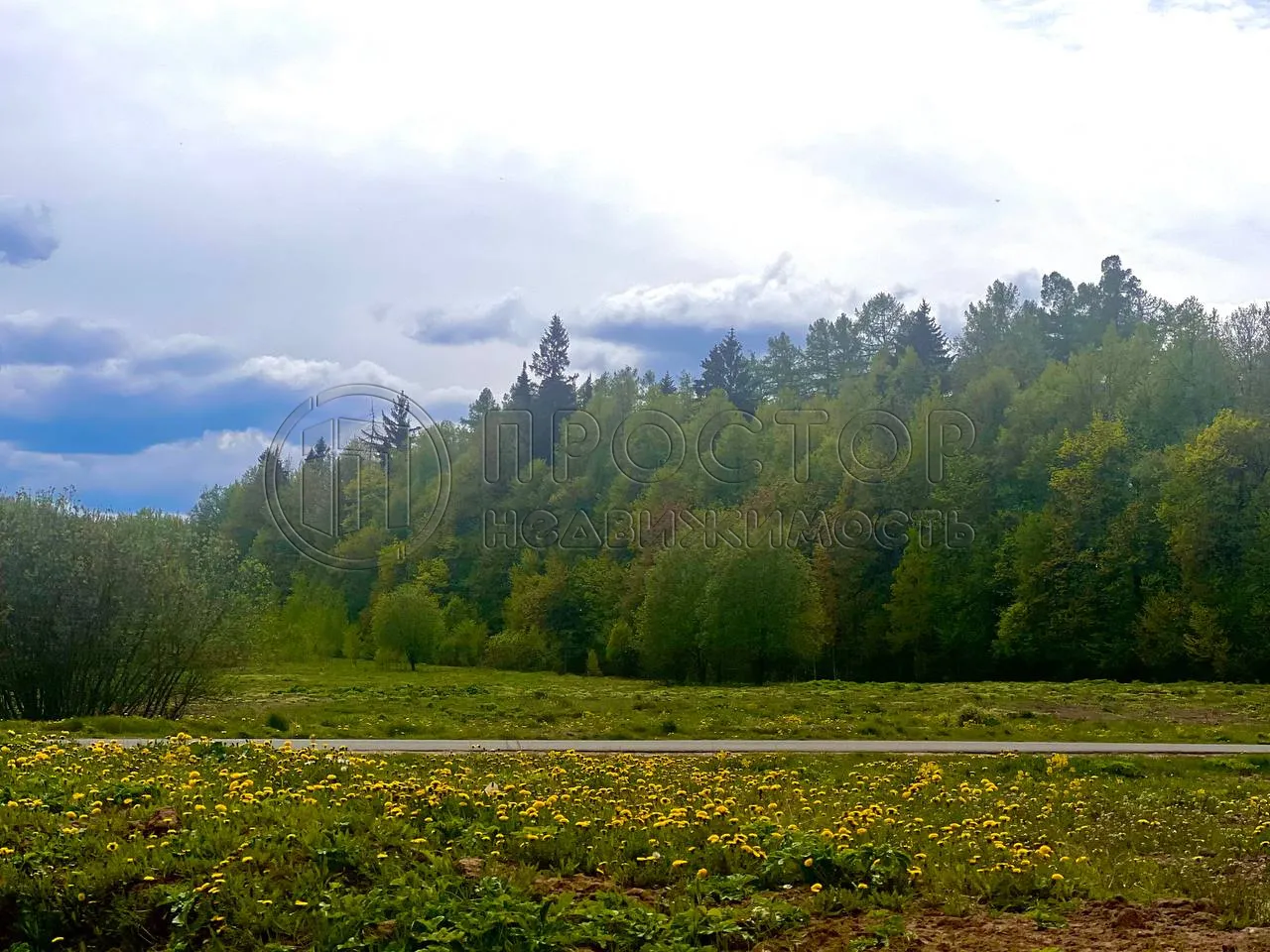 Коммерческая недвижимость (бизнес), 47 м² - фото 20