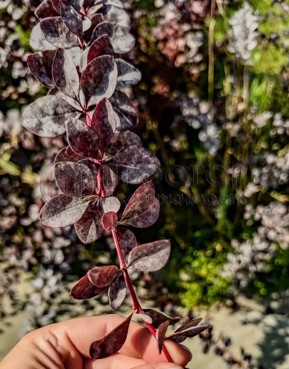 Дом, 307 м² - фото 33