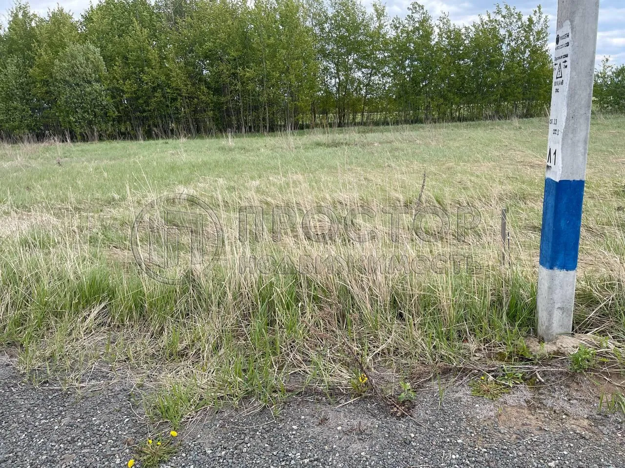 Участок, 100 сот. - фото 2