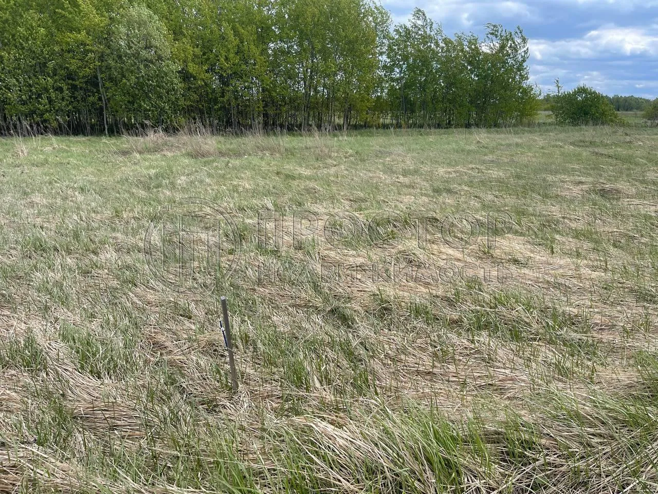 Участок, 100 сот. - фото 3