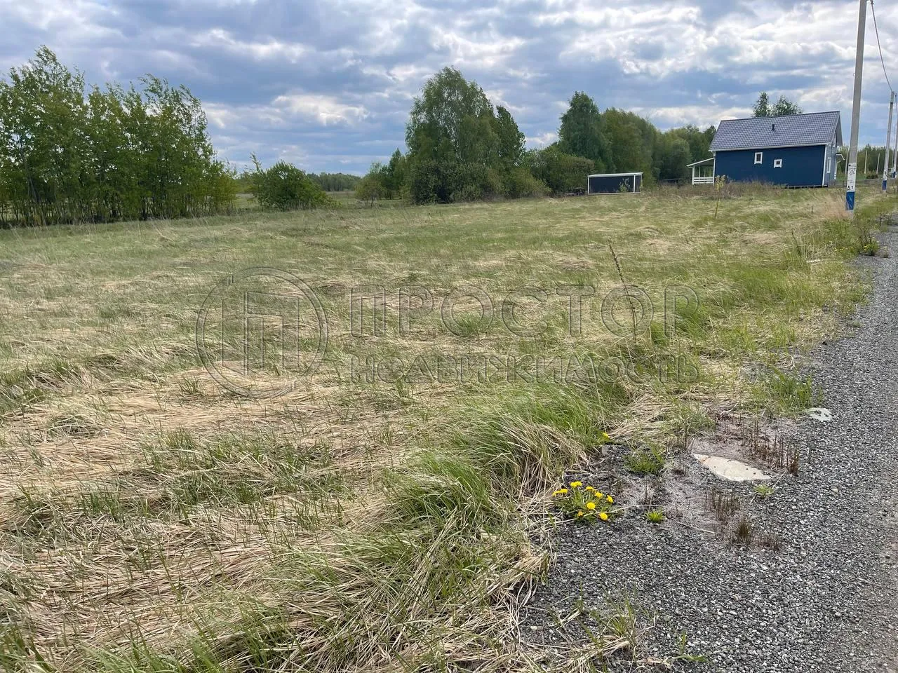 Участок, 100 сот. - фото 4