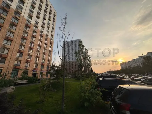 Студия, 24.9 м² - фото 12