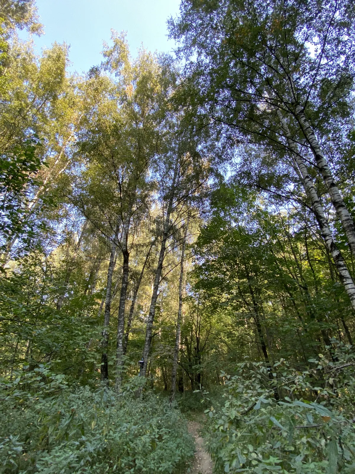 Студия, 27.4 м² - фото 25