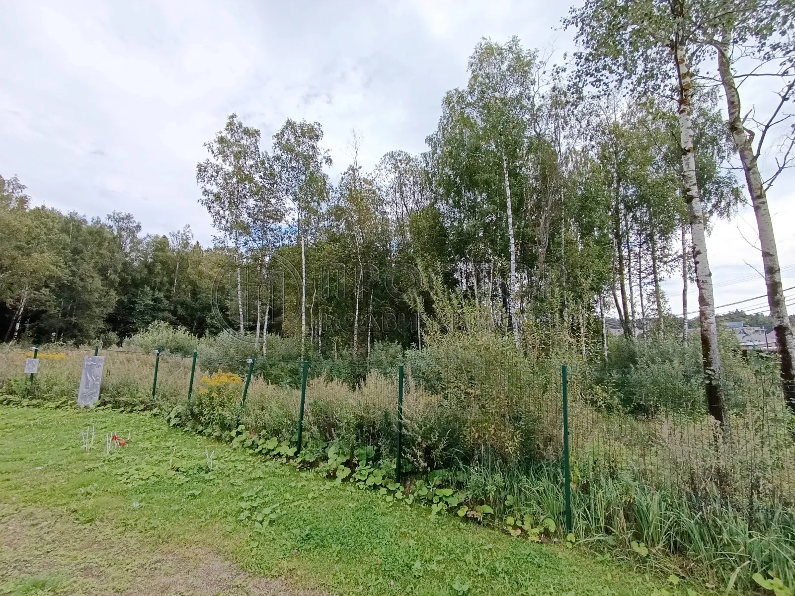 Участок, 30 сот. - фото 2