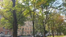 3-комнатная квартира, 69.8 м² - фото 85