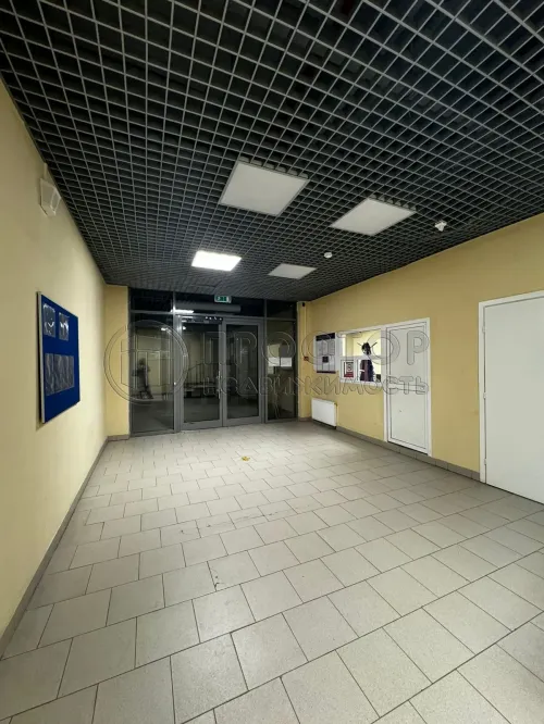 Студия, 31.6 м² - фото 17