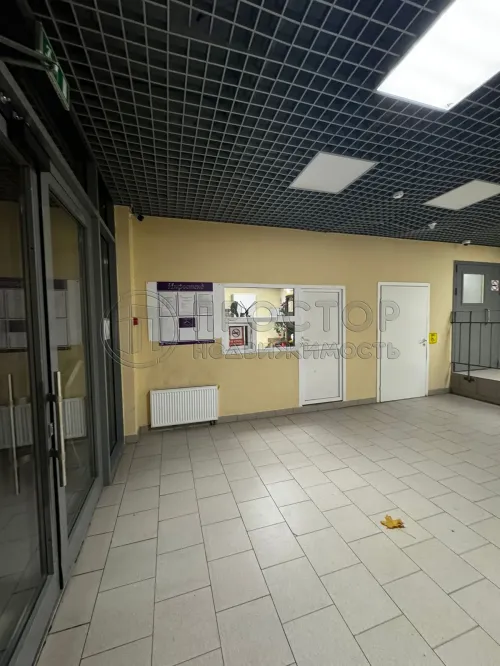 Студия, 31.6 м² - фото 18
