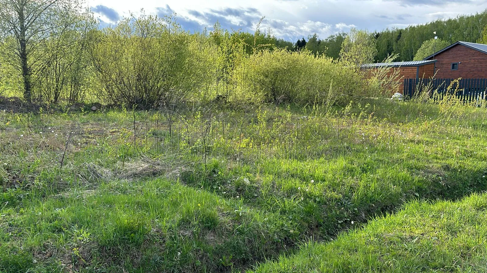 Участок, 9.75 сот. - фото 2