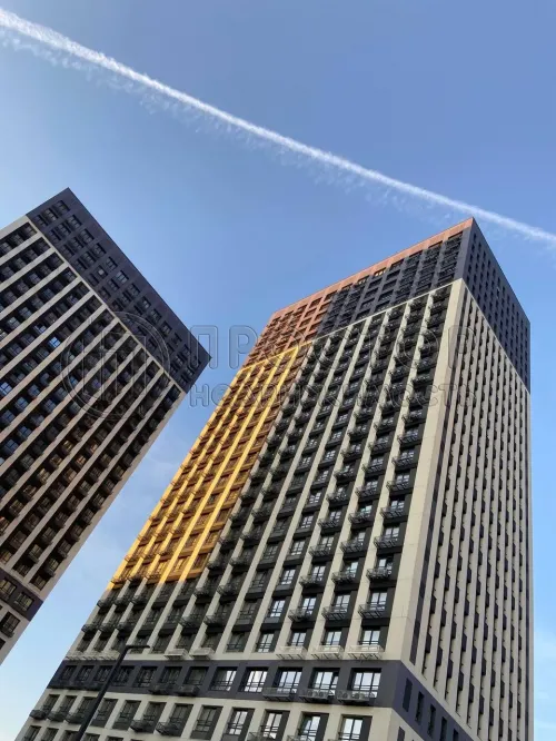 2-комнатная квартира, 56.8 м² - фото 2