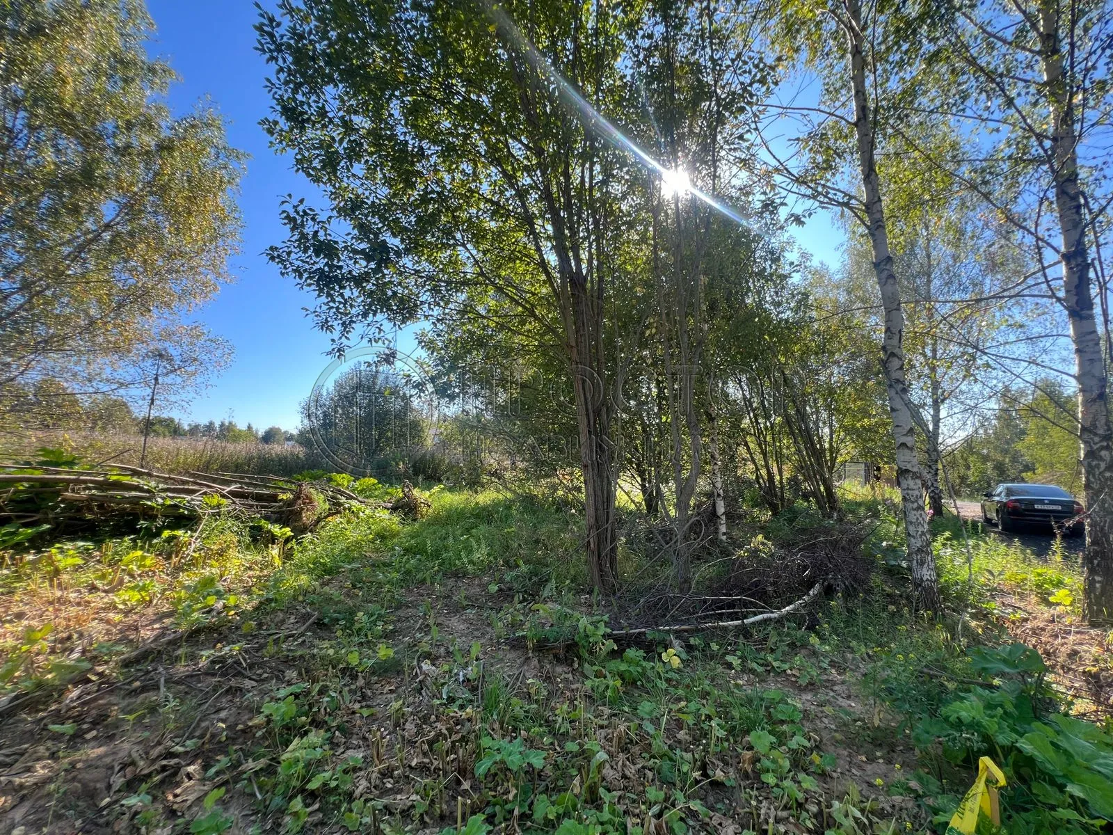 Участок, 6 сот. - фото 4