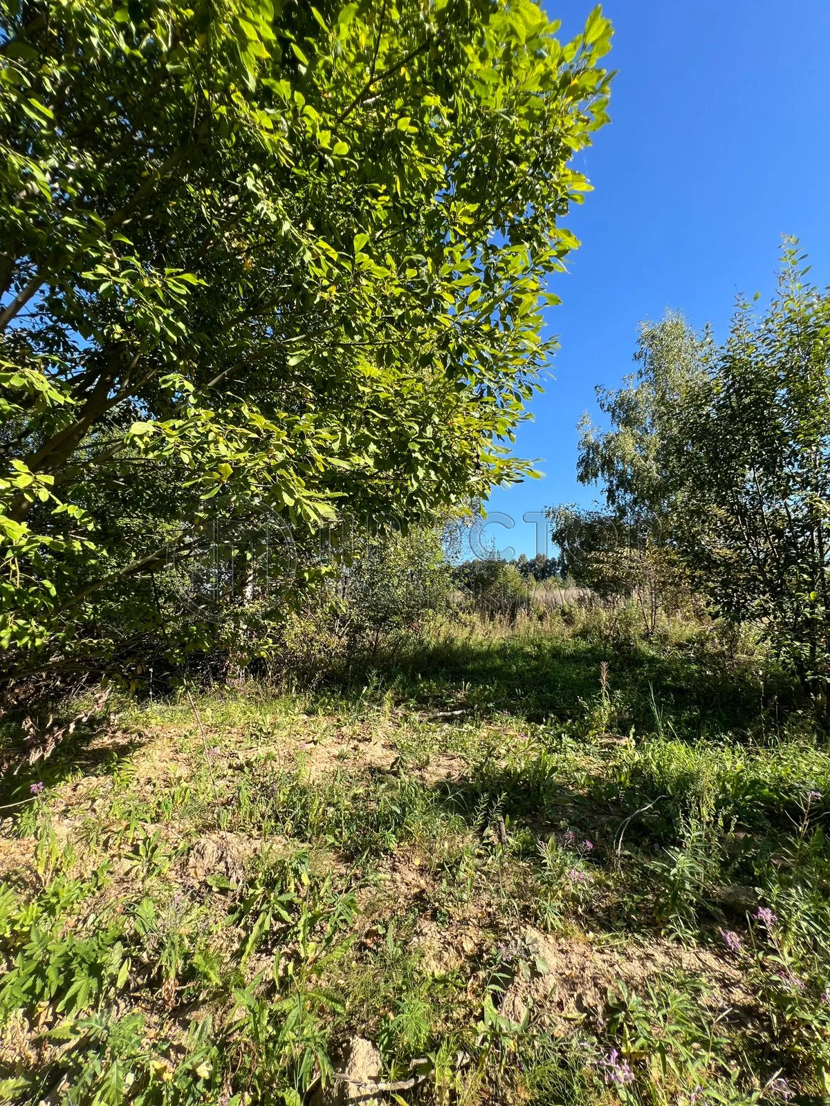 Участок, 6 сот. - фото 5