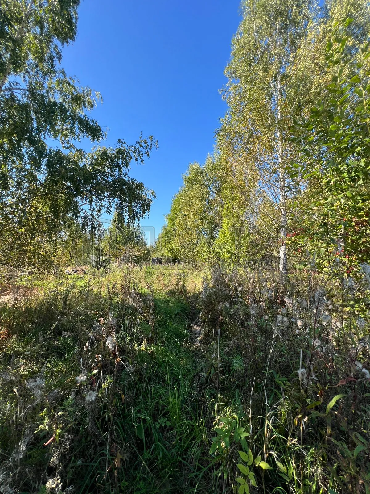 Участок, 6 сот. - фото 9