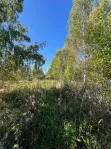 Участок, 6 сот. - фото 17