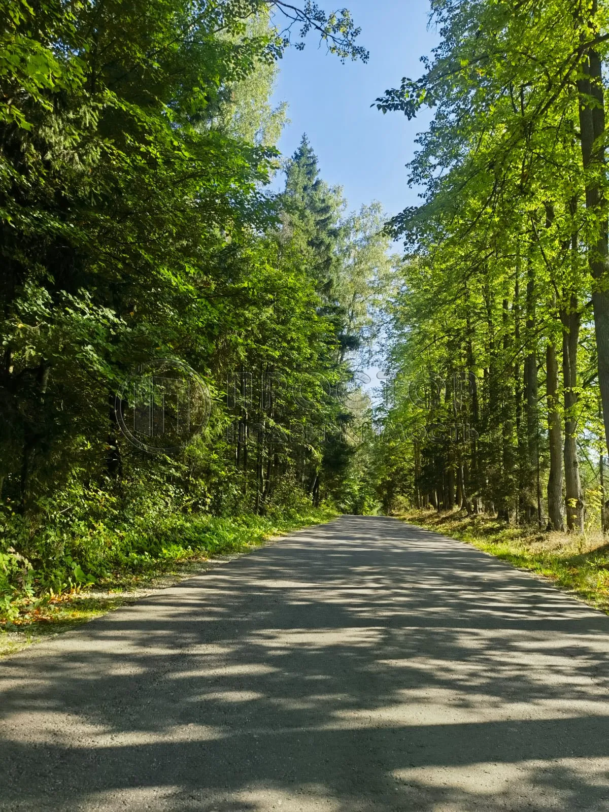 Дом, 221 м² - фото 41