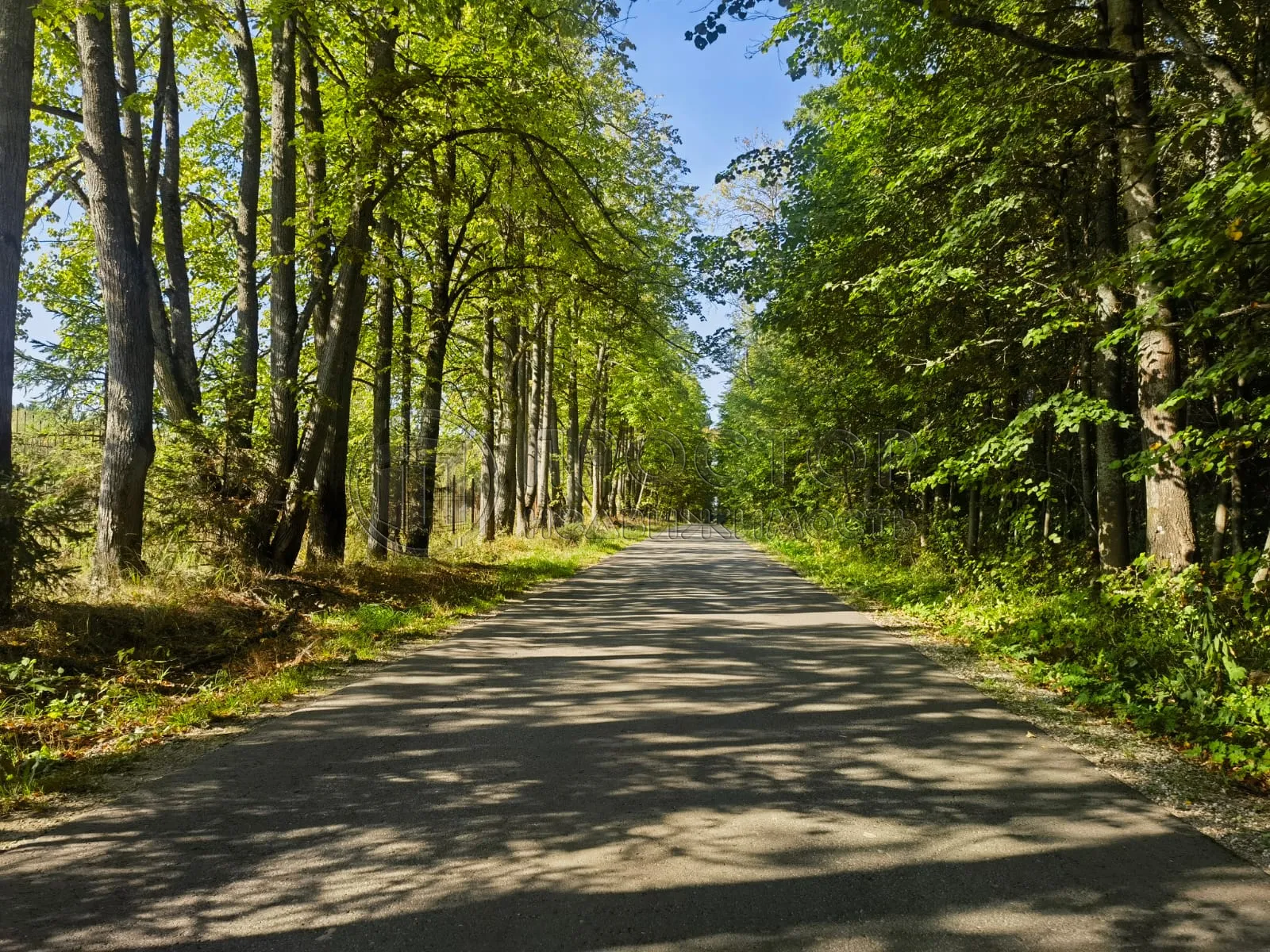 Дом, 221 м² - фото 43