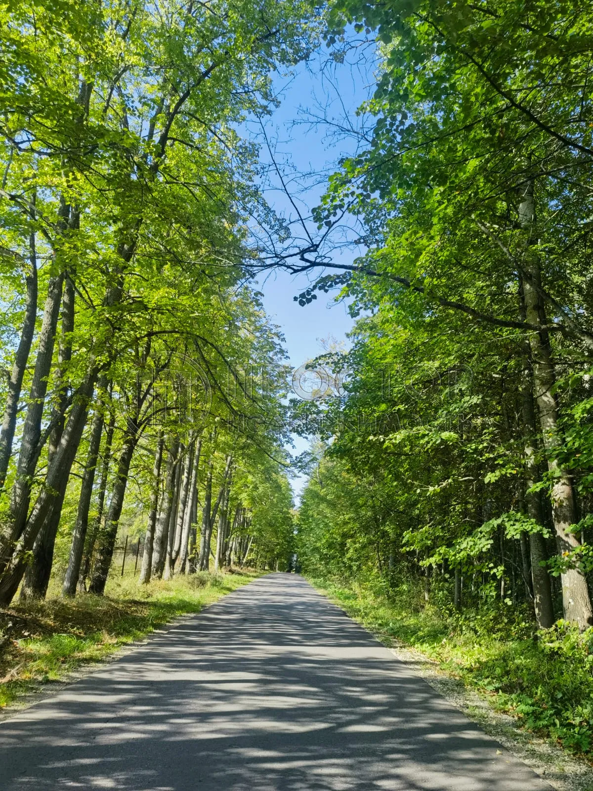 Дом, 221 м² - фото 44