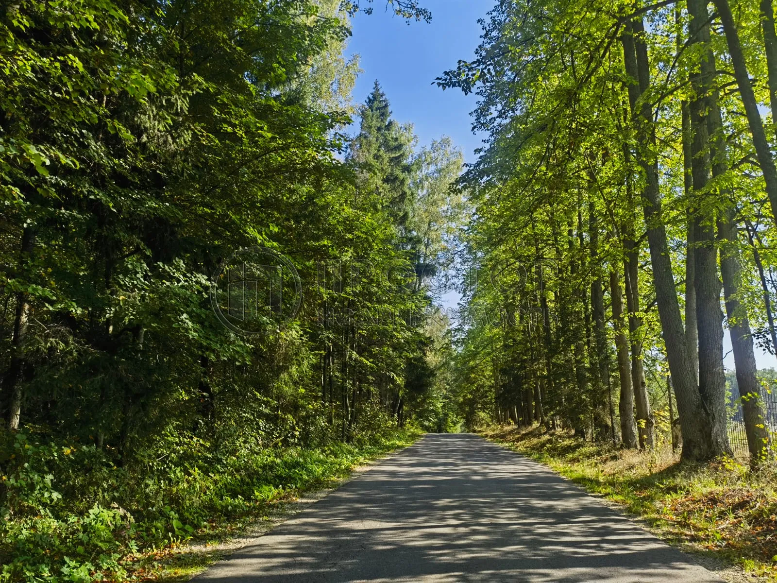 Дом, 221 м² - фото 45