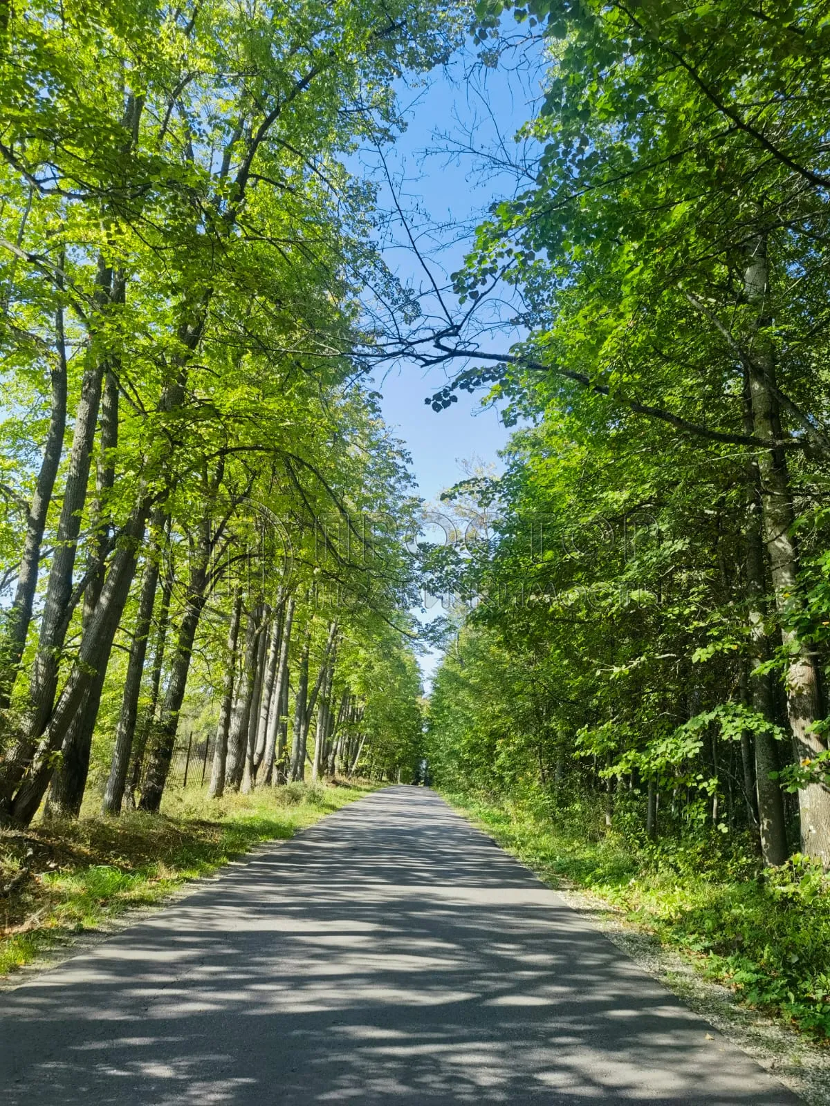 Дом, 221 м² - фото 46