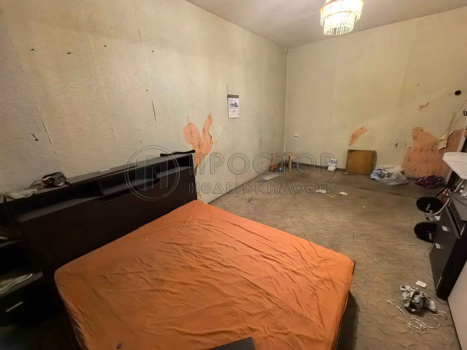 2-комнатная квартира, 56.8 м² - фото 4