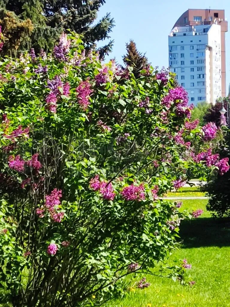 2-комнатная квартира, 57 м² - фото 26