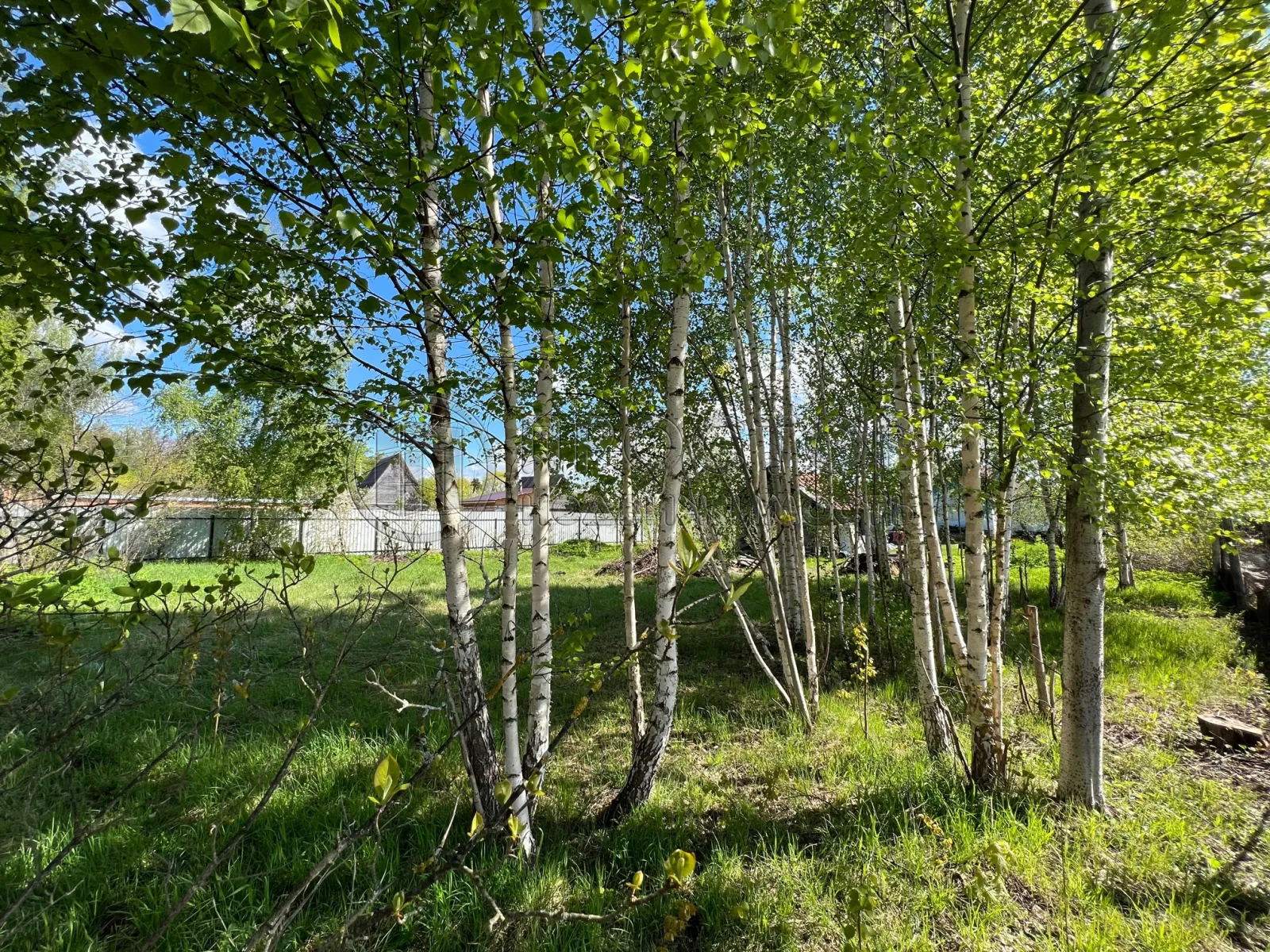 Участок, 17 сот. - фото 2