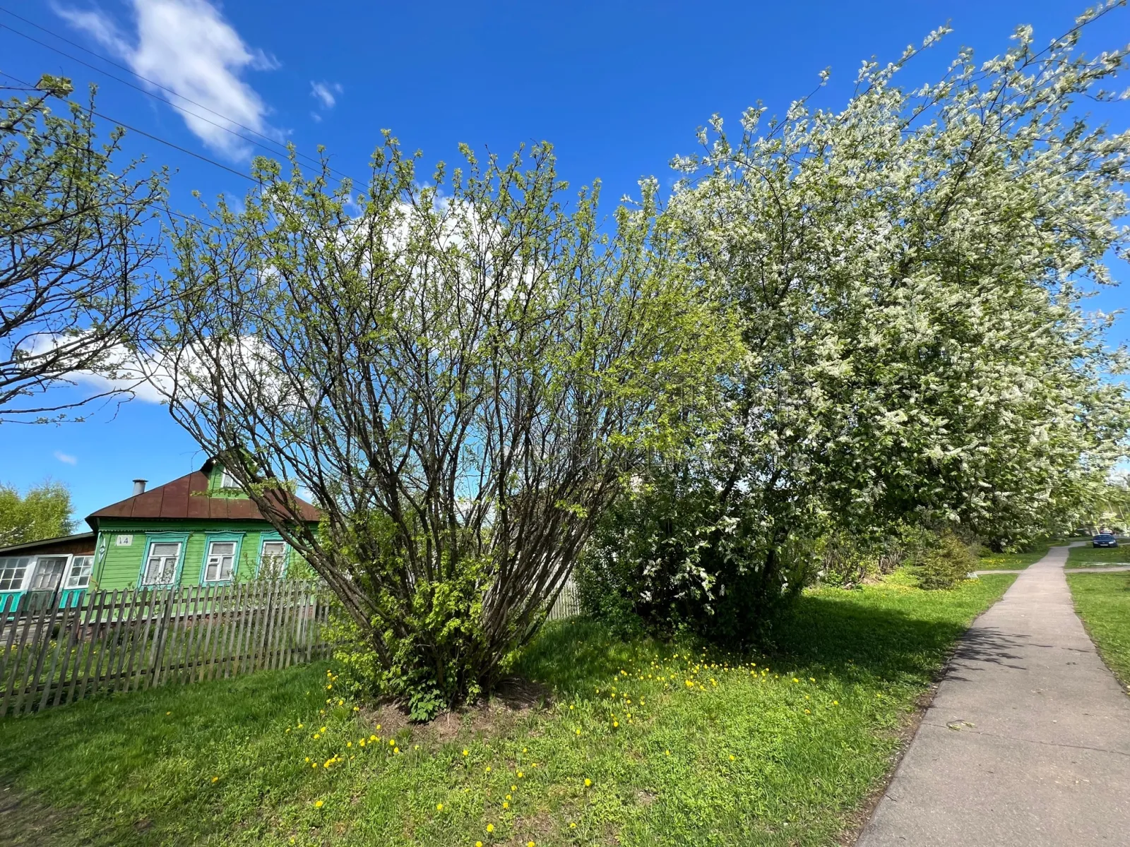 Участок, 17 сот. - фото 8