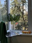 3-комнатная квартира, 62 м² - фото 19