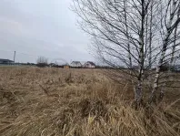 Участок, 46.48 сот. - фото 12