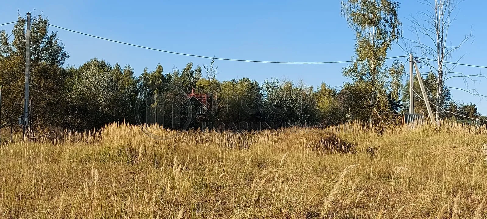 Участок, 10 сот. - фото 8