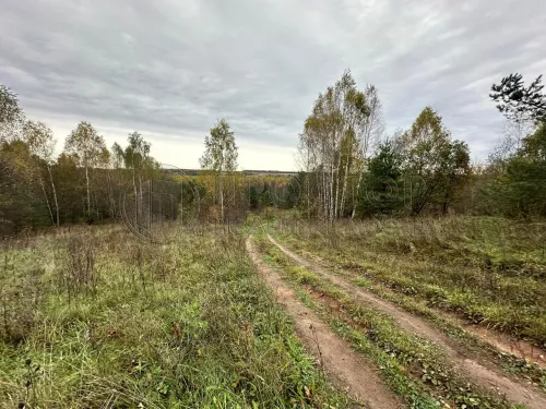Коммерческая недвижимость (земельный участок),  м² - фото 7