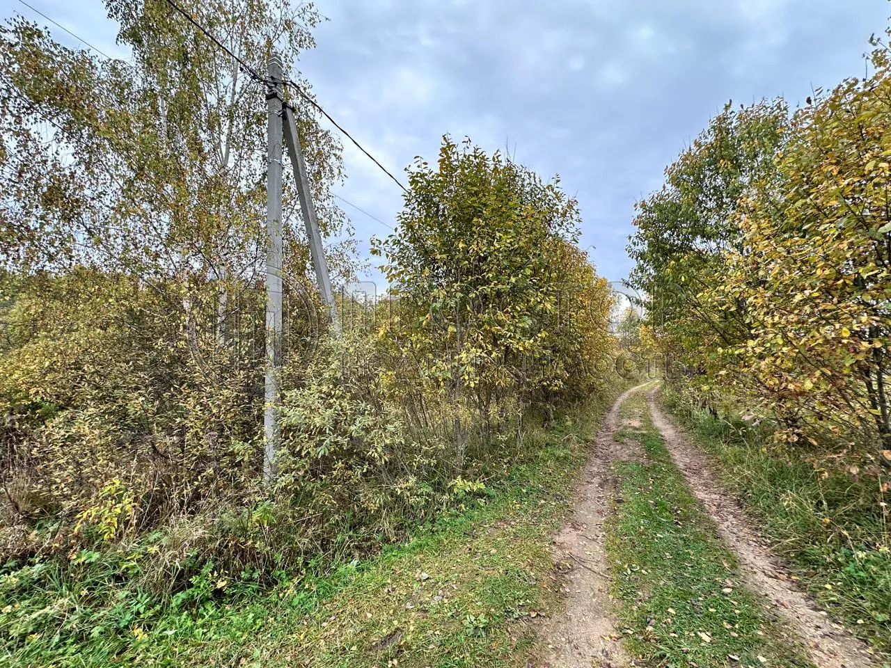 Коммерческая недвижимость (земельный участок),  м² - фото 4