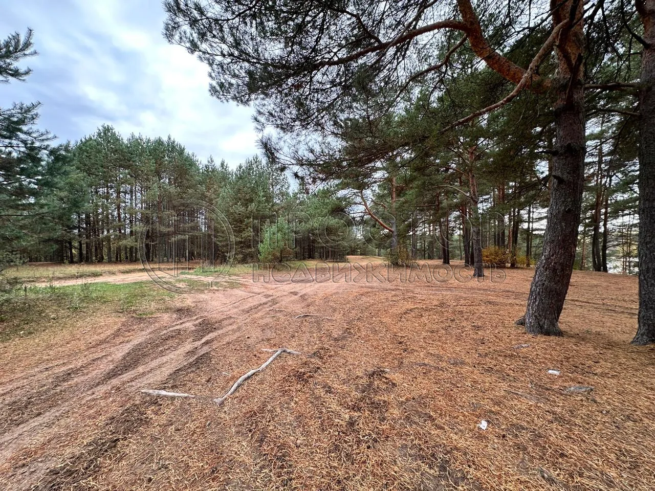 Коммерческая недвижимость (земельный участок),  м² - фото 12