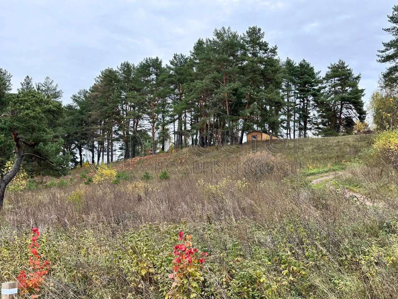 Коммерческая недвижимость (земельный участок),  м² - фото 5