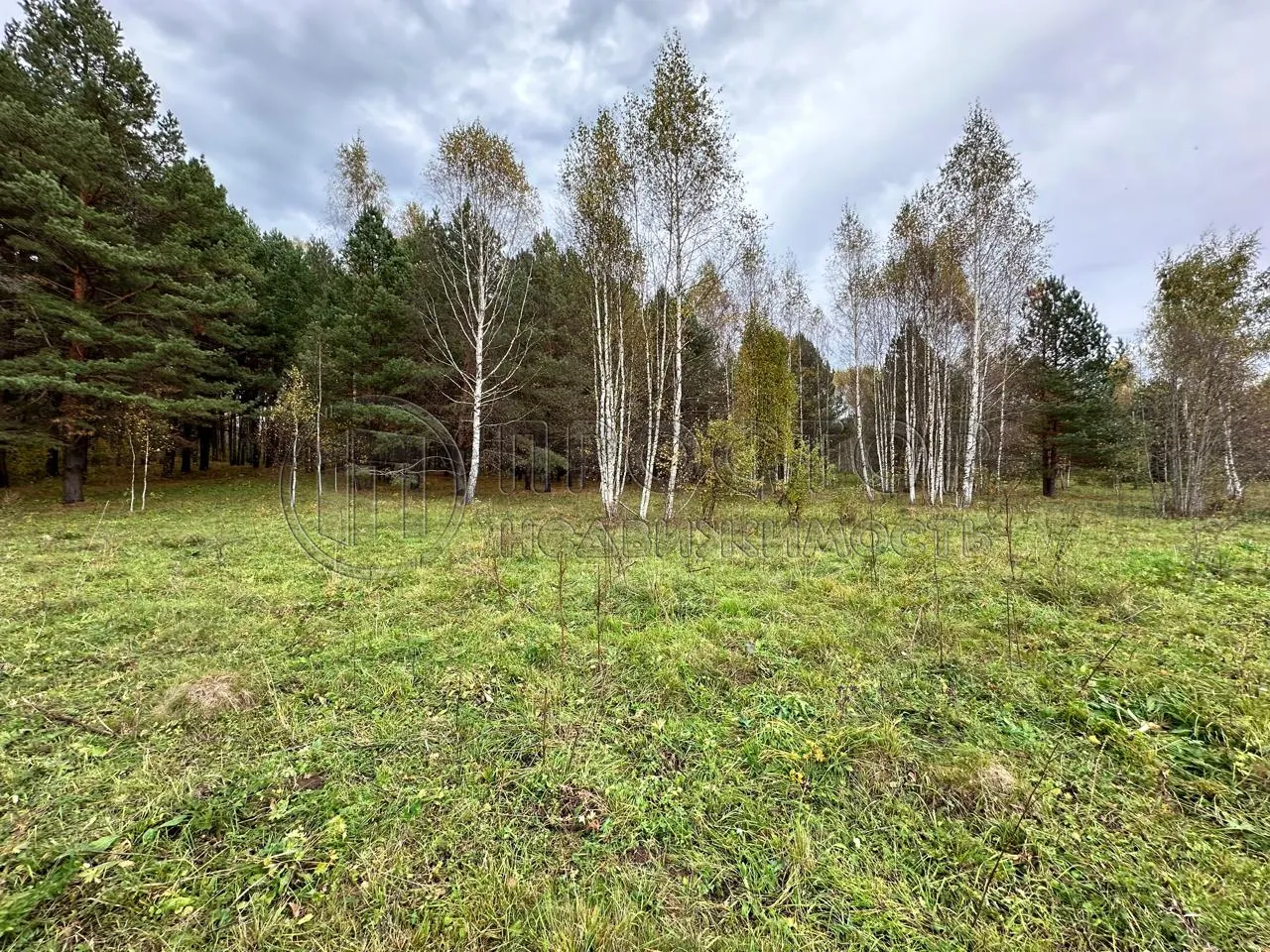 Коммерческая недвижимость (земельный участок),  м² - фото 8