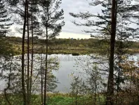 Коммерческая недвижимость (земельный участок),  м² - фото 22
