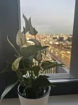 3-комнатная квартира, 85.5 м² - фото 51