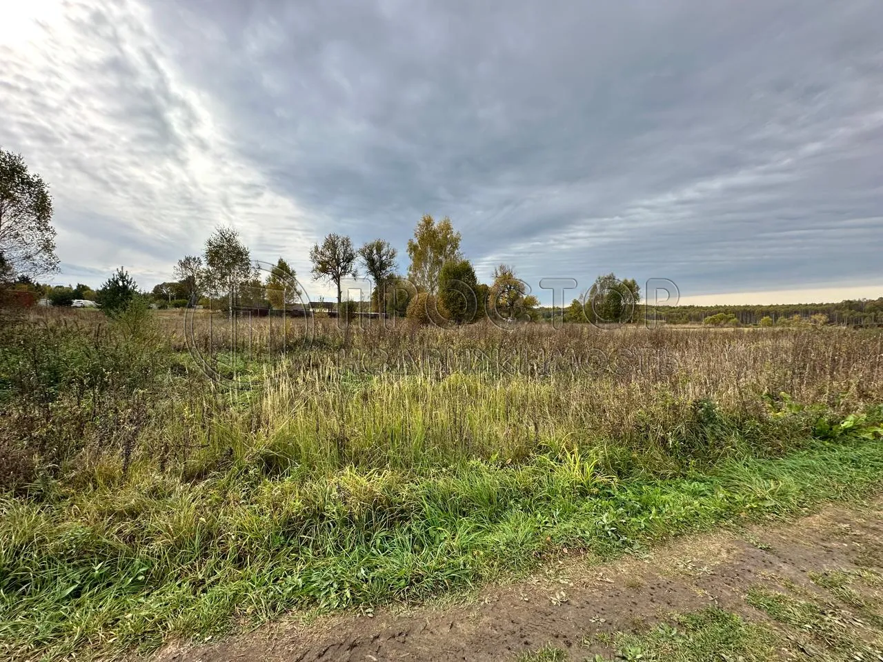 Коммерческая недвижимость (земельный участок),  м² - фото 5