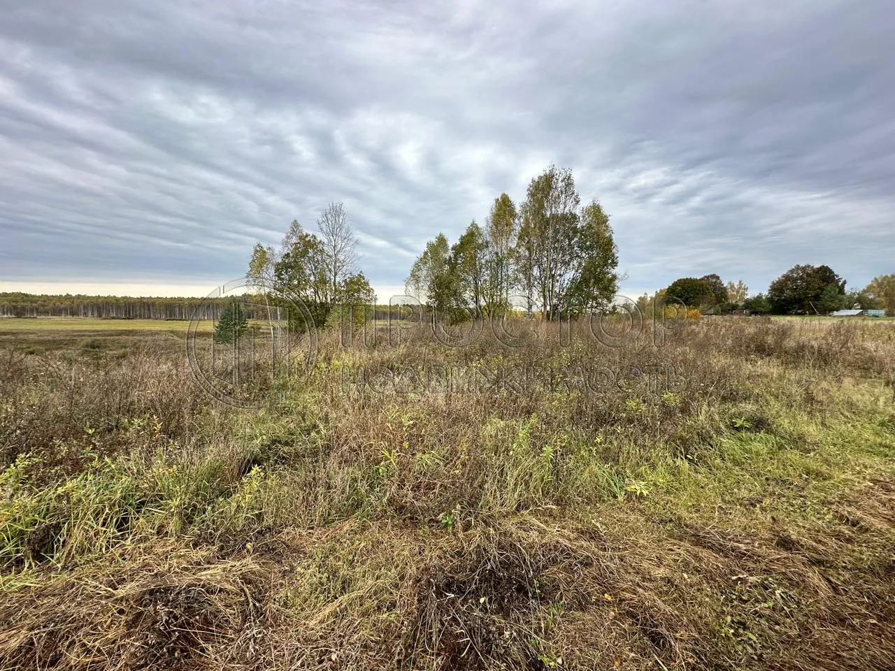 Коммерческая недвижимость (земельный участок),  м² - фото 7