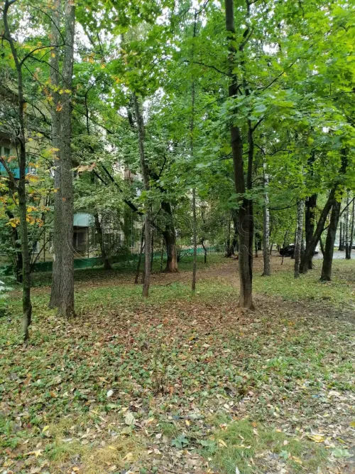 1-комнатная квартира, 31 м² - фото 17